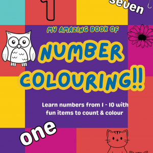 My amazing book of number colouring